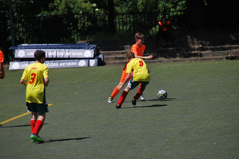 780x520SZ Fan WM C  18.6 (200).JPG